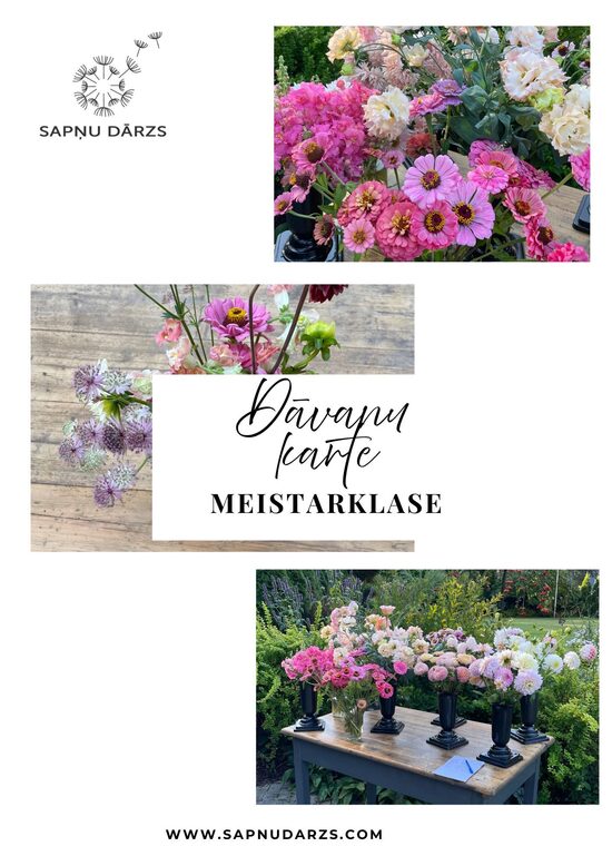 Dāvanu karte - Sezonālo ziedu pušķu veidošanas meistarklase